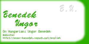 benedek ungor business card